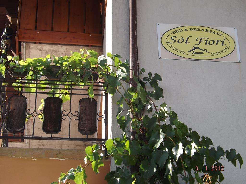 אגורדו B&B Sol Fiori מראה חיצוני תמונה